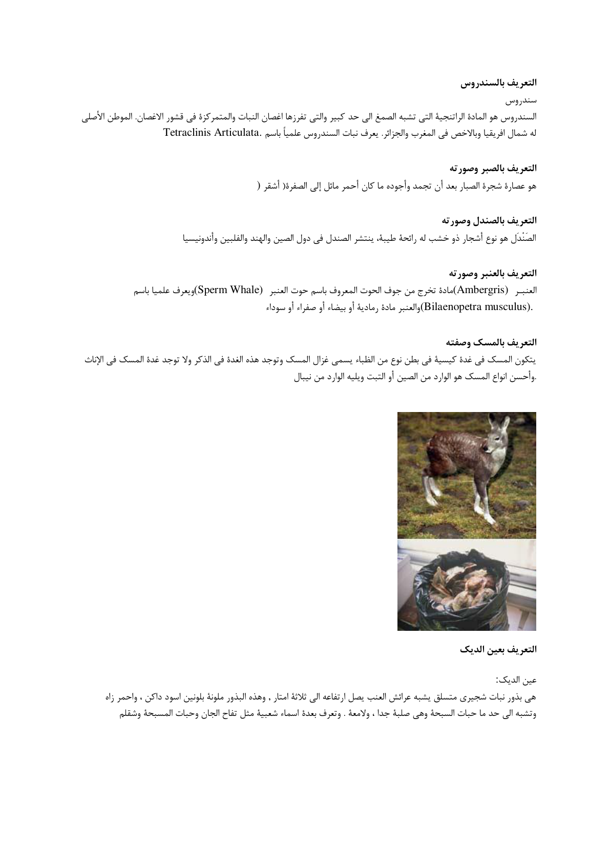 اسکرین شات 4 برای بخورات